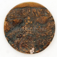 Berényi István?: Dzsvári. Bronz plakett, jelzett, d:9,4 cm