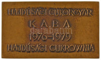 1979. 'Hajdúsági Cukorgyár / Kaba 1976-1979 - Hajdúsági Cukrownia' kétoldalas bronz emlékplakett (76,5x132mm) T:AU